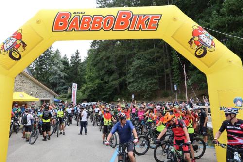 Vallombrosa Trail 2024