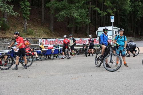 Vallombrosa Trail 2024