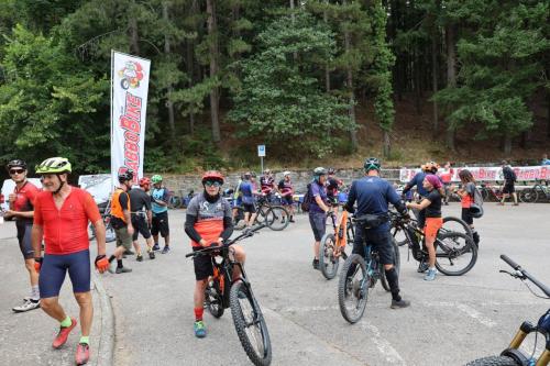 Vallombrosa Trail 2024