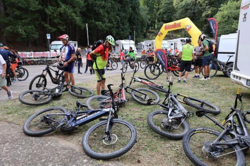 Vallombrosa Trail 2024