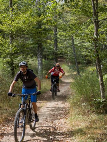 Vallombrosa Trail 2024