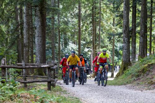 Vallombrosa Trail 2024