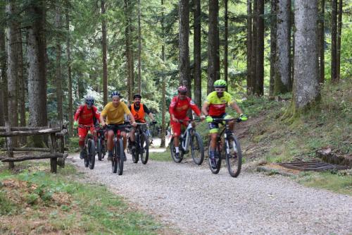 Vallombrosa Trail 2024