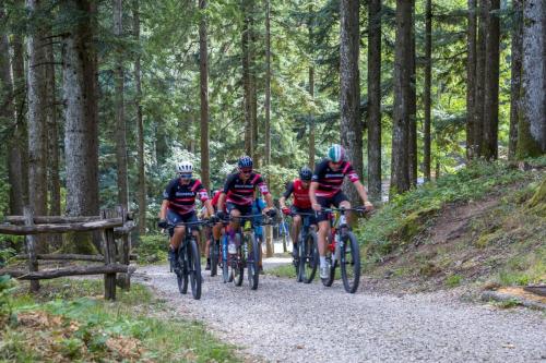 Vallombrosa Trail 2024