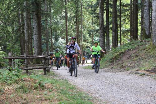 Vallombrosa Trail 2024