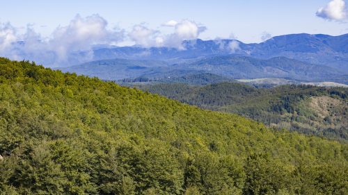 Vallombrosa Trail 2025