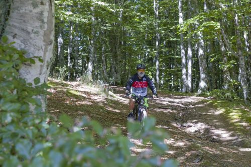 Vallombrosa Trail 2025