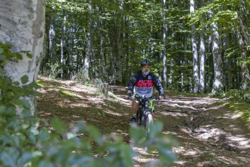 Vallombrosa Trail 2025
