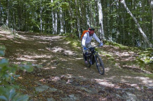 Vallombrosa Trail 2025