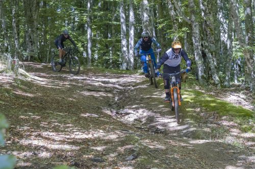 Vallombrosa Trail 2025