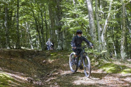 Vallombrosa Trail 2025
