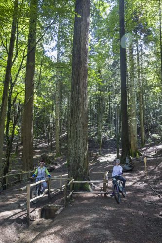 Vallombrosa Trail 2025